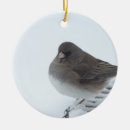 Buscar juncos adornos Pájaros