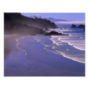 Buscar ecole posters Orégano