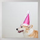 Buscar feliz cumpleaños posters Perro