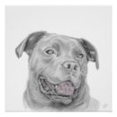 Buscar pitbull arte Cachorro