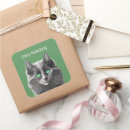 Buscar gatitos bonitos pegatinas Para todos