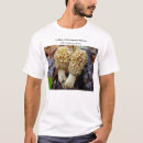 Buscar multi región Naturaleza