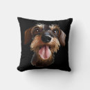 Buscar perro salchicha cojines Dachsie