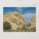 Buscar jumbo postales General y unisex