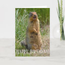 Buscar gopher Animal
