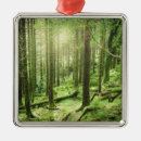 Buscar kerry Naturaleza