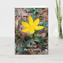 Buscar cromo verticales tarjetas Naturaleza