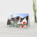 Buscar del humor boda tarjetas de aniversario Para todos