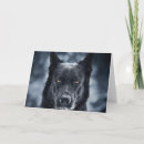 Buscar pastor alemán negro tarjetas Perro