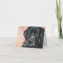 Buscar laboratorio negro tarjetas Perro