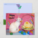 Buscar gato de pascua postales Pasatiempo