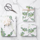 Buscar olivos papel de regalo Rama