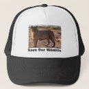 Buscar leones gorras Vida silvestre