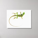 Buscar lagarto lienzos Reptiles