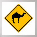 Buscar camello arte Amarillo