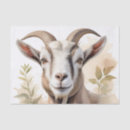 Buscar cabra papel de seda Animal