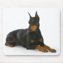 Buscar pinscher alfombrillas de raton Doberman