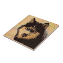 Buscar husky siberiano azulejos Cáustico