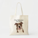 Buscar mi pitbull cajas Para todos