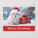 Buscar perro feliz postales Adorable
