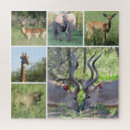 Buscar animales africanos puzzles Naturaleza