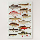 Buscar deportistas posters Lago