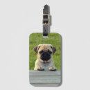 Buscar comida campestre accesorios Lindo