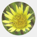 Buscar de la barba pegatinas General y unisex