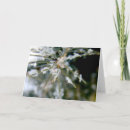 Buscar cristales de hielo tarjetas Invierno