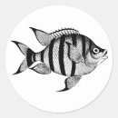 Buscar animales marinos pegatinas General y unisex