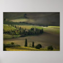 Buscar ciprés posters Paisaje