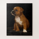 Buscar perro de bull terrier puzzles Para todos