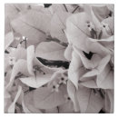 Buscar flores elegantes azulejos Naturaleza