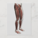 Buscar partes del cuerpo humano postales Médico