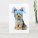 Buscar yorkie tarjetas Aterrador