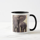 Buscar herbivoro tazas Familia