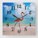Buscar flamenco relojes de pared Tropical