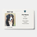 Buscar veterinario collares Perros