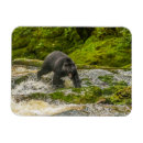 Buscar caza imanes Agua