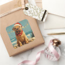 Buscar shar pei pegatinas Vacaciones