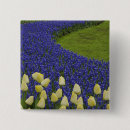Buscar jacinto chapas Flor