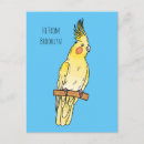Buscar cockatiel postales Pájaro