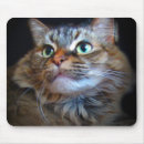 Buscar villancico Gato