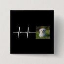 Buscar foto chapas Perro