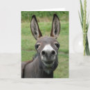 Buscar amor del burro tarjetas Animal