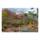 Buscar zion i Utah