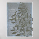 Buscar silueta posters Botánico