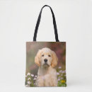 Buscar perro perdiguero bolsos Golden retriever