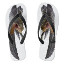 Buscar cocodrilo chanclas Reptil