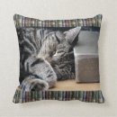 Buscar amortiguador del gato cojines Tabby